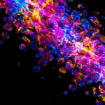 Geometric violet shapes representing energy flow